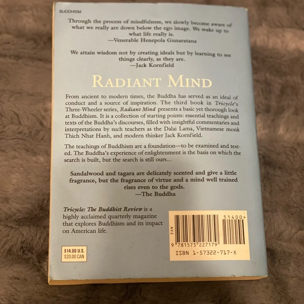 Radiant Mind Book - Picture 2 of 2